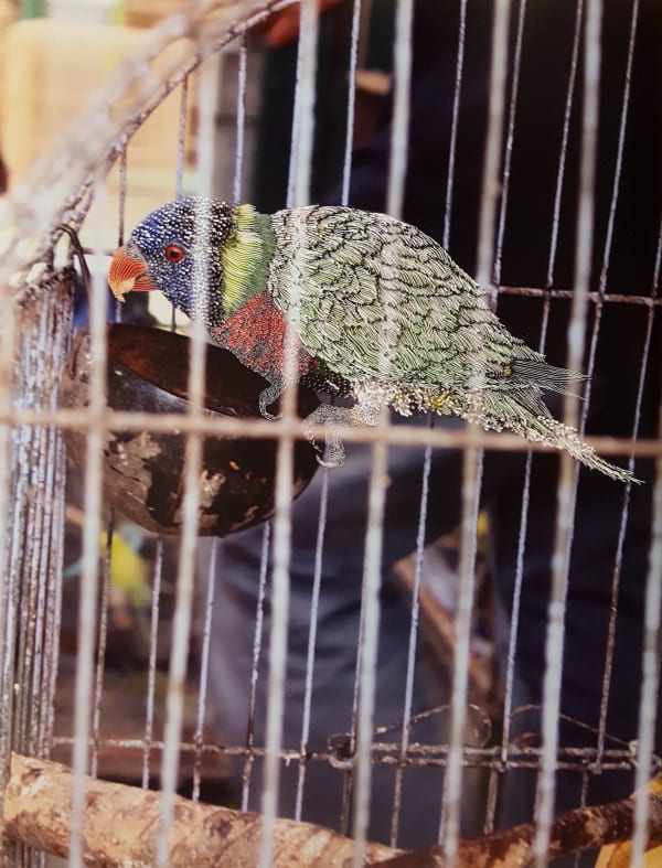 Raphaëlle PERIA, Le marché aux oiseaux #10, 2021