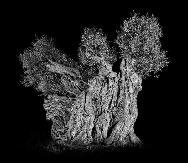 Antoine SCHNECK, Paola, Elisabetta, Emma