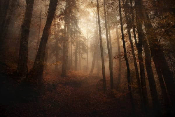 Les charmes de l'indicible. Haute Savoie, France