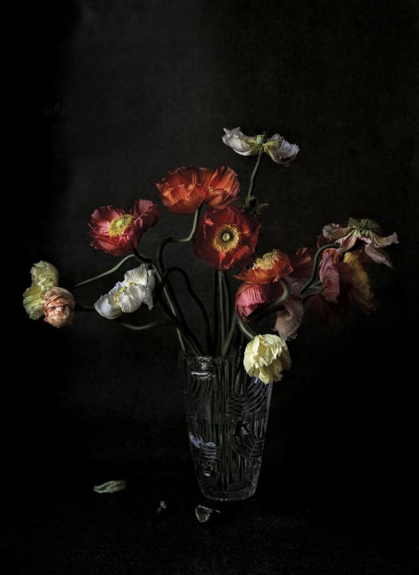 Still Life-Pavots Momento Mori