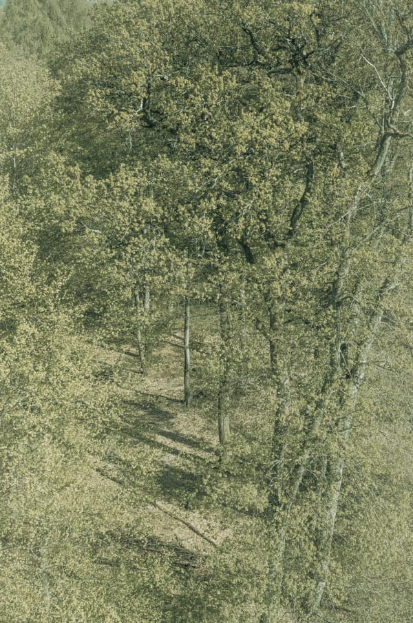 2. Sans titre de la série « Comme un paysage qui ’s’invente »