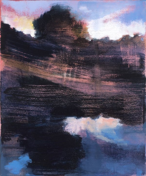 Susan Baird, Last Light Gully, 2012