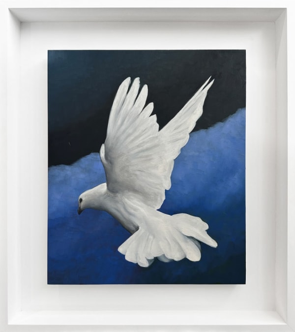 Angus McDonald Dove, 2024 oil on panel 38 x 32 cm, 52 x 46 cm (framed)