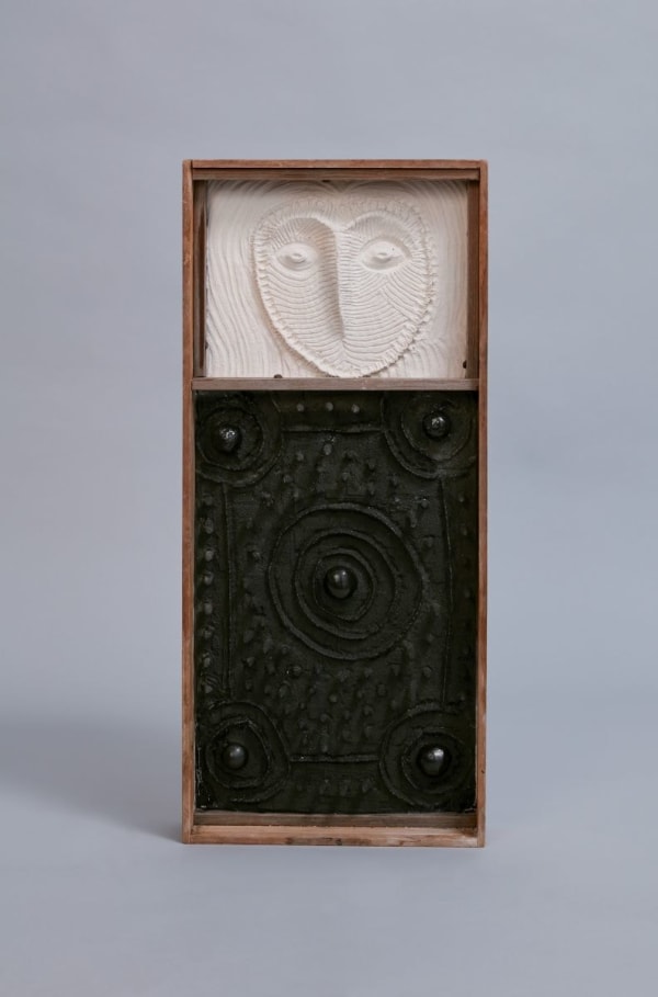 Joshua Yeldham, Cosmos Owl (box), 2021