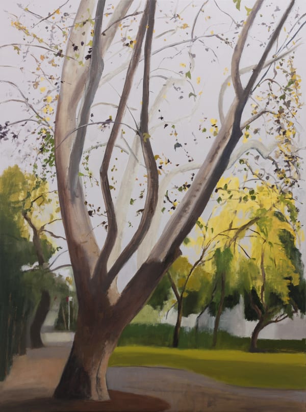 Peter Simpson, Autumn Trees, Thurlow St II, 2018