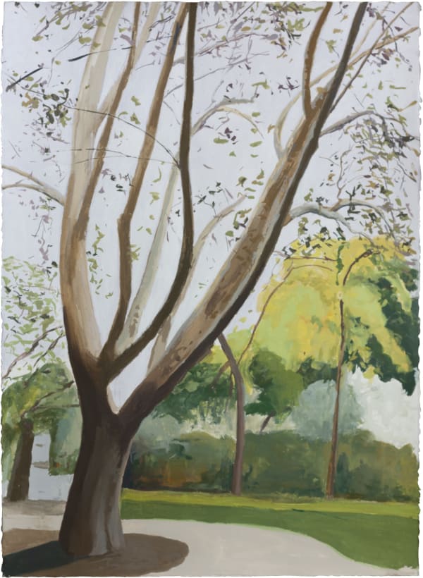 Peter Simpson, Autumn trees, Thurlow St I, 2018