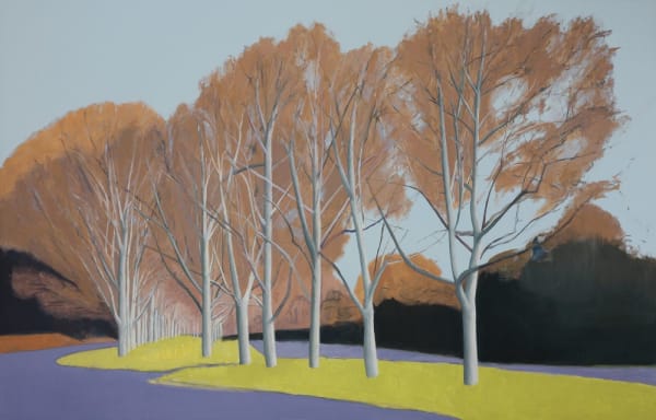 Peter Simpson, Plane Tree Stand, Paddington, 2018