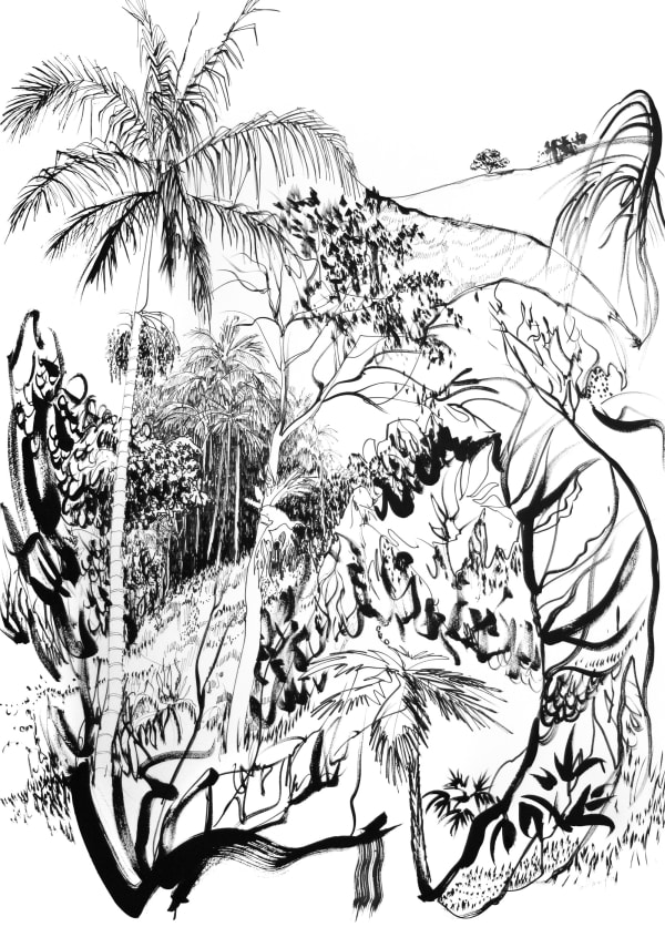 Ian Greig, Bangalow Palms 11, 2018