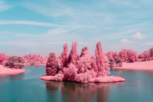 Kate Ballis, Lake of Wonder, 2019