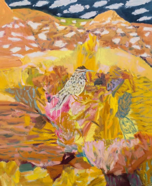 Jo Bertini, Weather Watcher – Cactus Wren Chasing Cloud Shadows, 2021