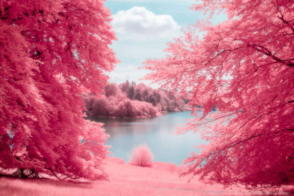 Kate Ballis, Viviane, 2019