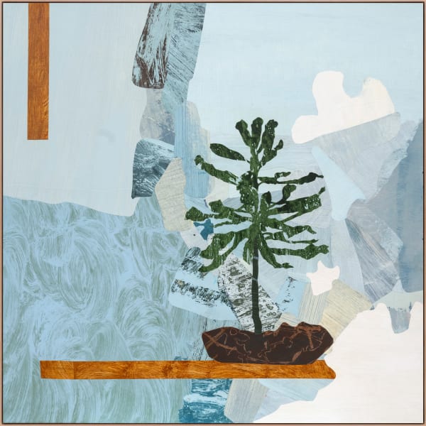 Nicola Moss, Plant Dreams – Fresh Air, 2024