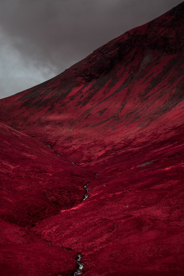Kate Ballis, Betwixt, 2019
