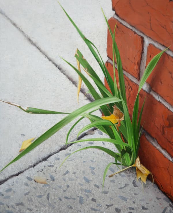 Juan Ford Persistence, 2024 oil on board 25.5 x 21 cm, 28.5 x 23.5 cm (framed)