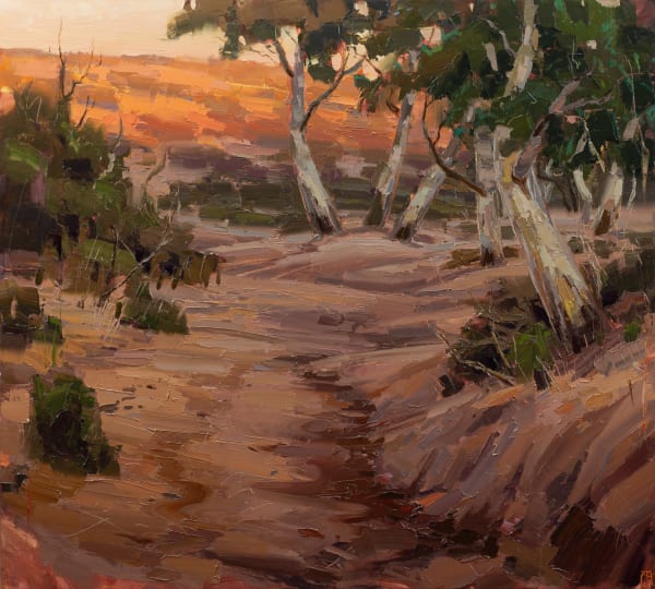 Clifford How, Desert Patterns – Fowlers Gap, 2025