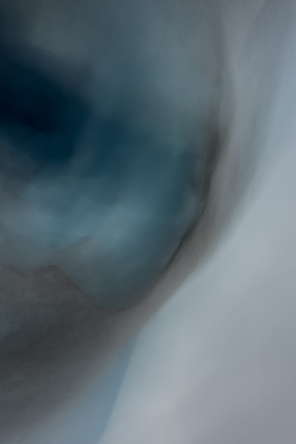 Kate Ballis, Buho, 2016