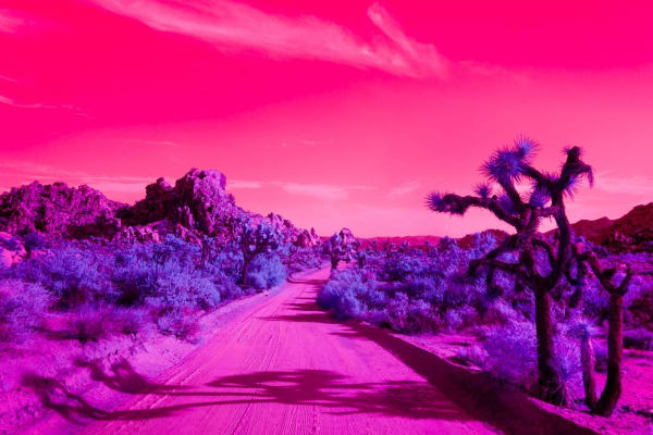 Kate Ballis, Hyperphantasia, 2018