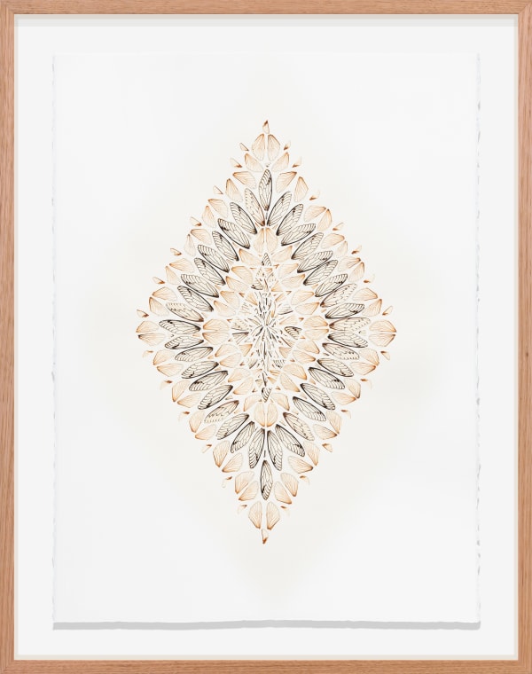 Shona Wilson, Summer Yantra, 2025