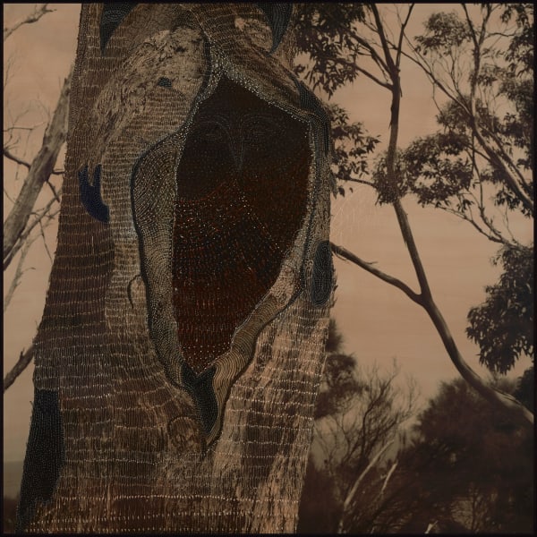 Joshua Yeldham, Owl Wood, 2023