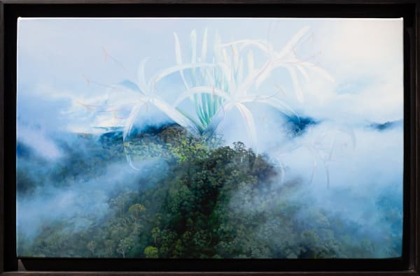 Hobie Porter, Transience, 2023