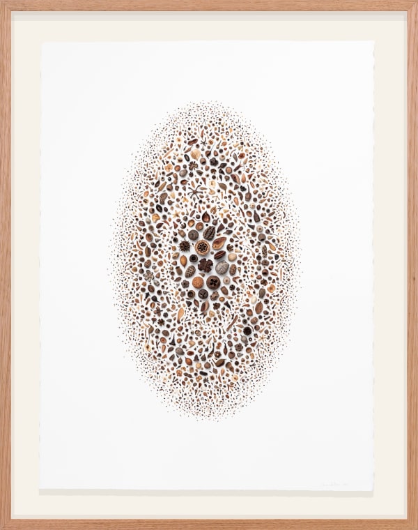 Shona Wilson, Breathing In, 2023