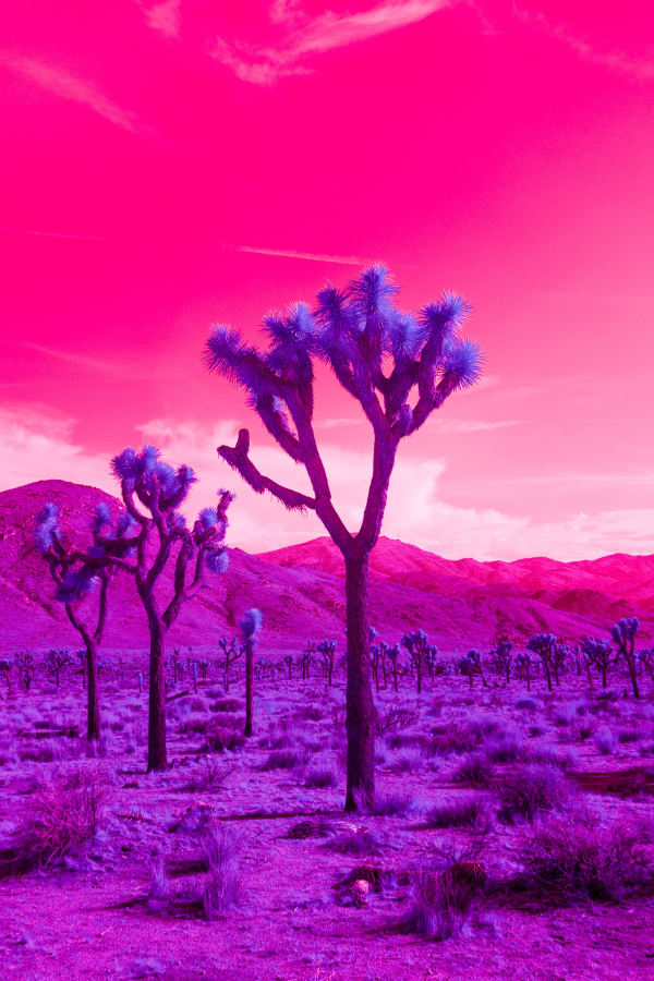 Kate Ballis, Dreamscape, 2018