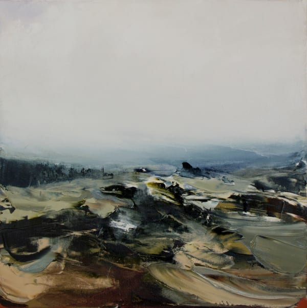 Aaron Kinnane, While I watch you sleep in the light of mist and rain, Barrington Tops II, 2014