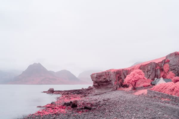 Kate Ballis, Morgan le Fay, 2019