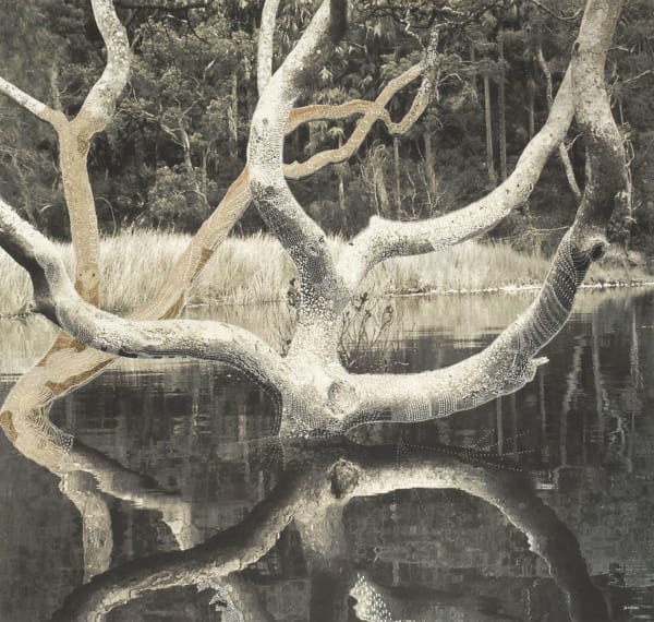 Joshua Yeldham, Troubadour – Morning Bay (Ed. of 9), 2013