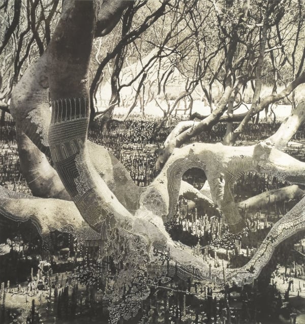 Joshua Yeldham, Expedition to the Heron Land (Ed. of 9), 2013