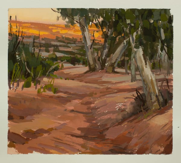 Clifford How, Desert Patterns – Fowlers Gap Study, 2025
