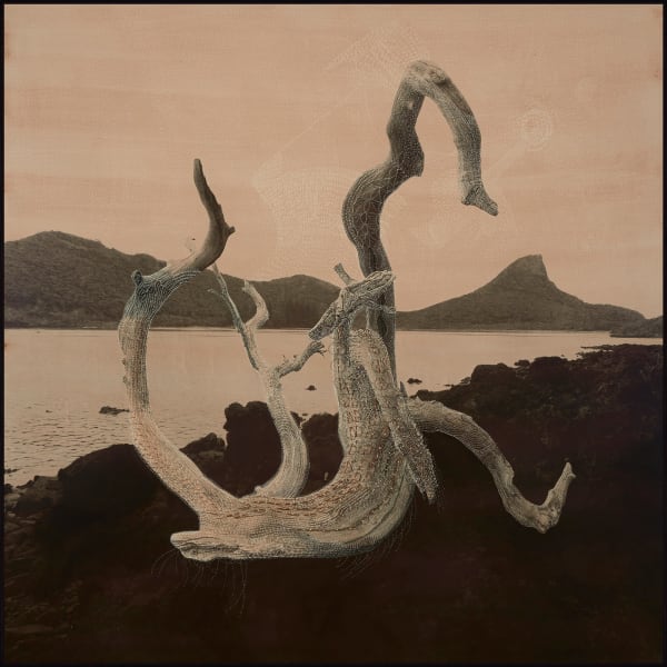 Joshua Yeldham, Driftwood – Lord Howe Island, 2023