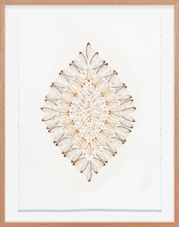 Shona Wilson, Summer Mantra, 2025