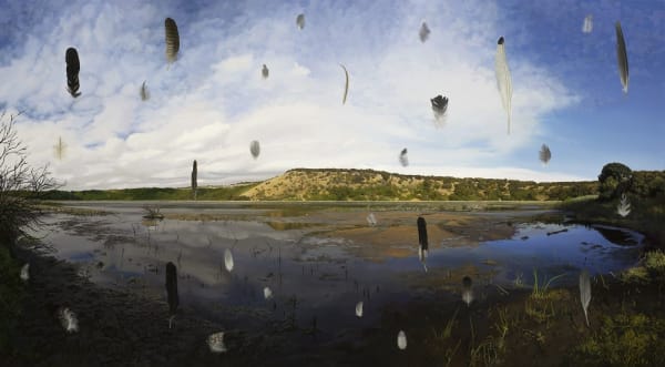 Hobie Porter, Muun Gnamatt, Tower Hill Game Reserve, 2014