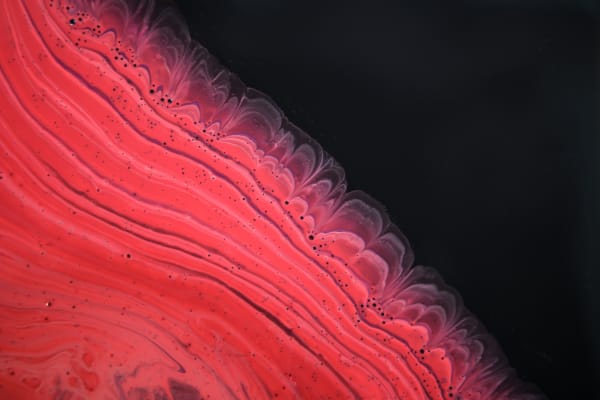 Priya Fry, Untitled, 2011