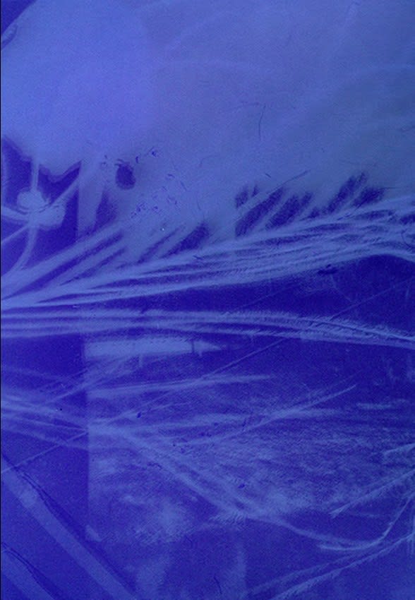 Umut Erbaş, Düş v23, 2021