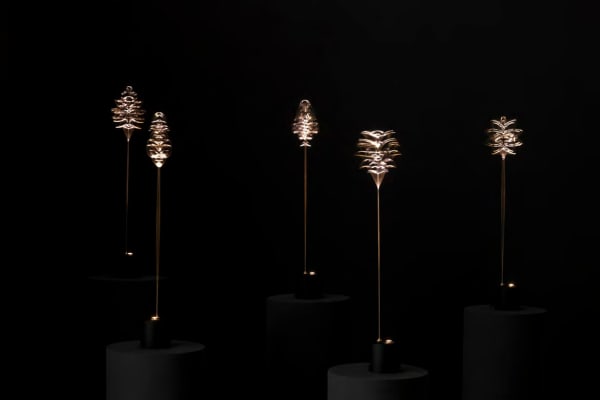 Bilal Yılmaz, Başaklar / Spikes, 2024