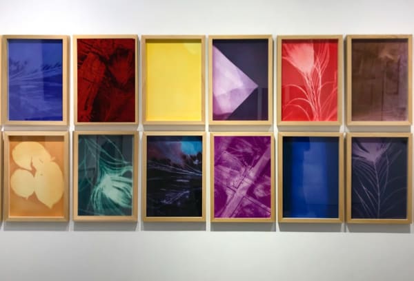 Umut Erbaş, Library of Unseen Images / Görülmemiş İmgeler Kütüphanesi, 2021