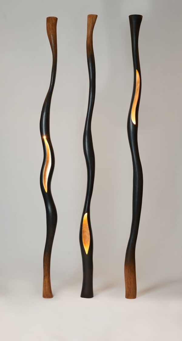 Hoon MOREAU, Lianes lumineuses (Lianas) Nº3, 2019