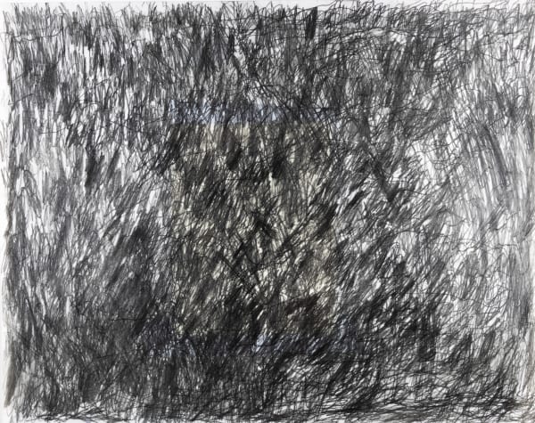 Sam Filicky, Graphite, 2024