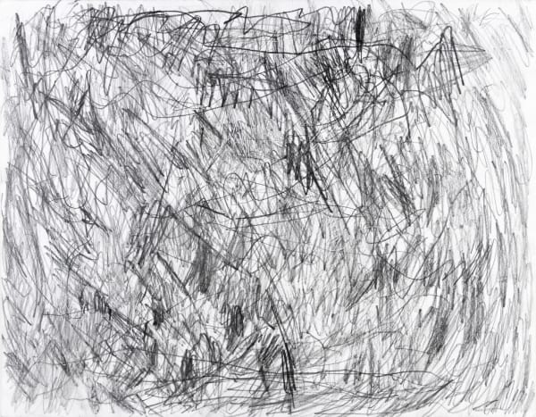 Sam Filicky, Graphite (Series 2), 2024