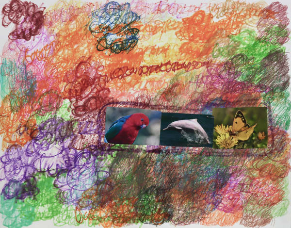 Lawrence M., Pink Dolphin, 2022