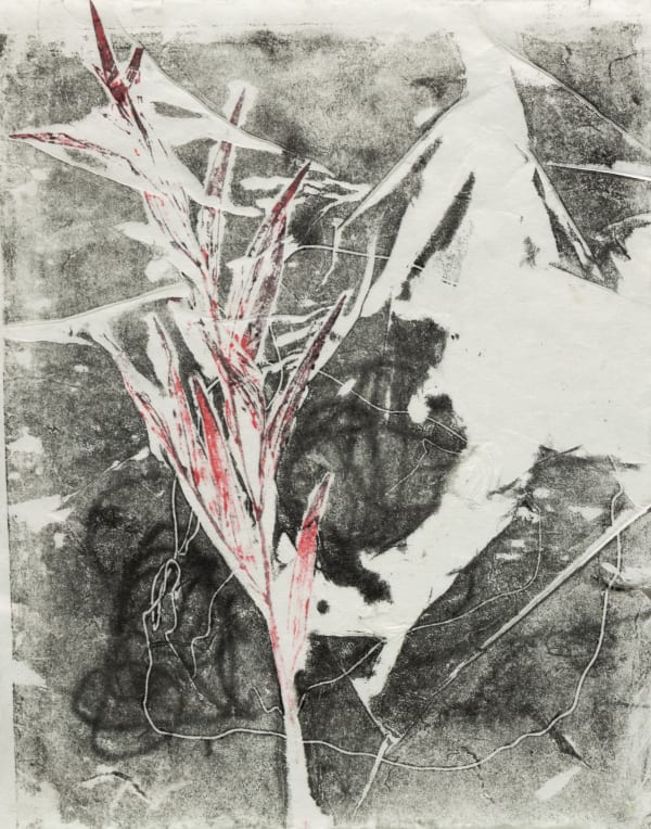 David Espinosa, Oil Paint, 2024