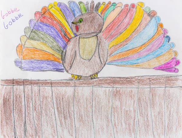 Carol Pyes, Turkey Sits on a Fence, 2020