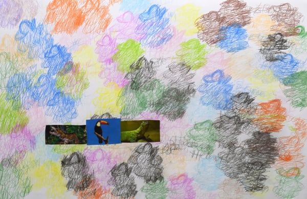 Lawrence M., The Toucan, 2022