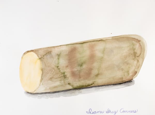 Isamu Guy Conners, Log, 2022