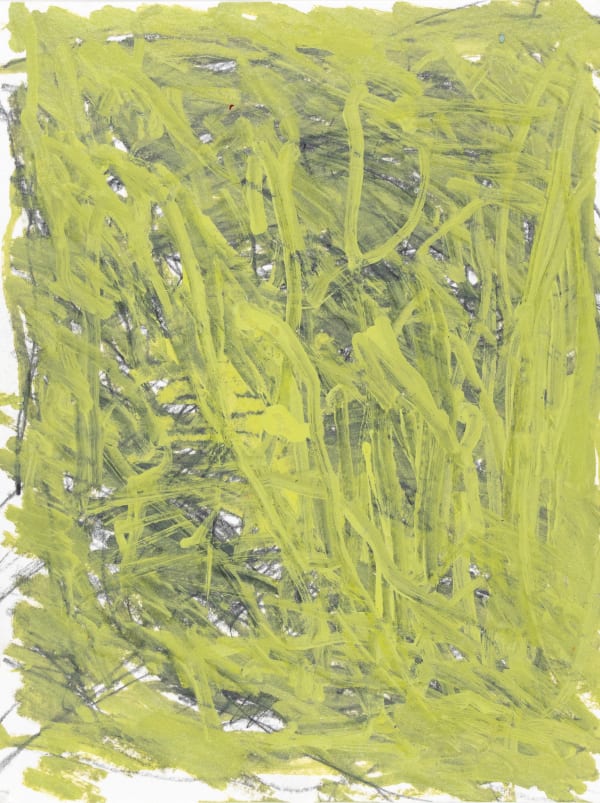 Sam Filicky, Graphite with marker on paper, 2023