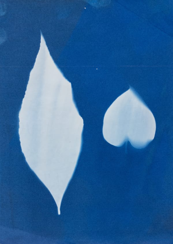 Jack O'Sullivan, Image of Blue, 2024