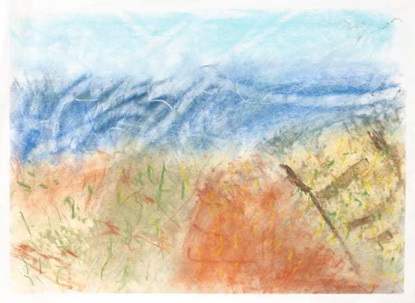 Chris Viau, A Native Beach, 2022