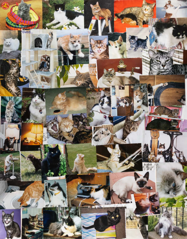 Carol Pyes, Cat Collage 4 , 2021